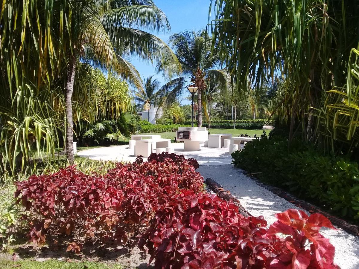 Swim The Caribbean & Work With A View Daire Cancun Dış mekan fotoğraf