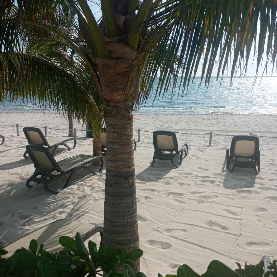 Swim The Caribbean & Work With A View Daire Cancun Dış mekan fotoğraf